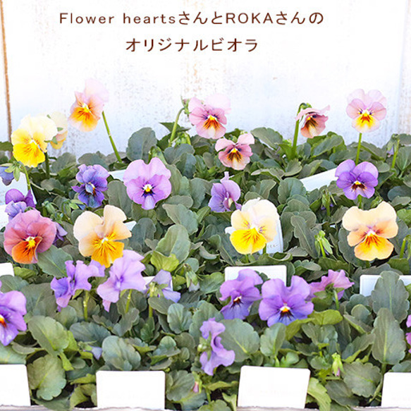 お花々＊様 今週の花／10月第1週 ｜ 大阪**花屋フラワーパーティー