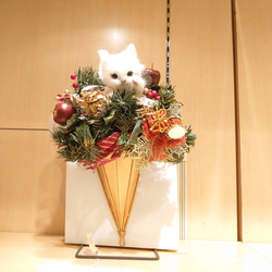 白猫のクリスマスブーケ 1枚目の画像