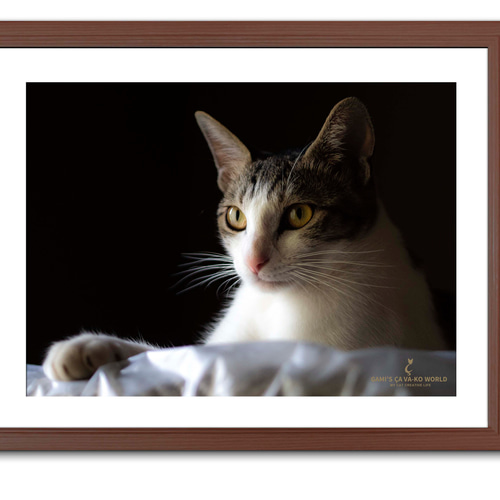 作品タイトル「理由」A3サイズ 写真作品 額付き