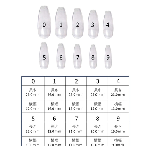 ナインインチネイルズ　Lサイズ ネイルサイズ表 【バレリーナ】 （ネイルチップオーダー➂お爪の