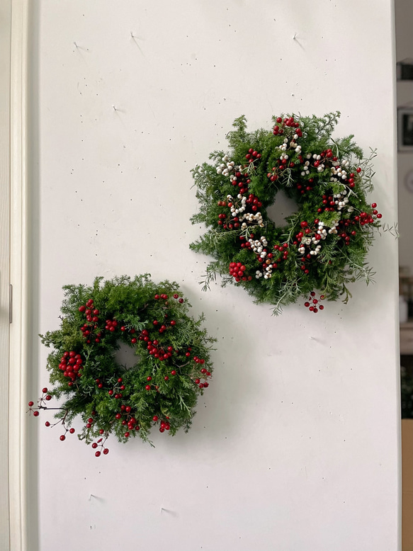 green wreath " Forest " フレッシュリース クリスマスリース グリーン サンキライ クリスマス 1枚目の画像