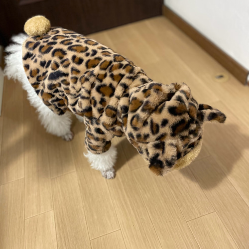 犬服ハンドメイド　立体ラビットファー　確認用 ラビットファー ベスト（ネイビー） - イタグレ(イタリアングレー