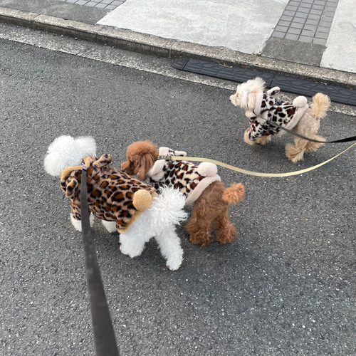 ハンドメイド犬服 ヒョウ柄 ファーコート オーダー頁 フード付きコート