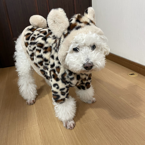 ハンドメイド犬服 ヒョウ柄 ファーコート オーダー頁 フード付きコート