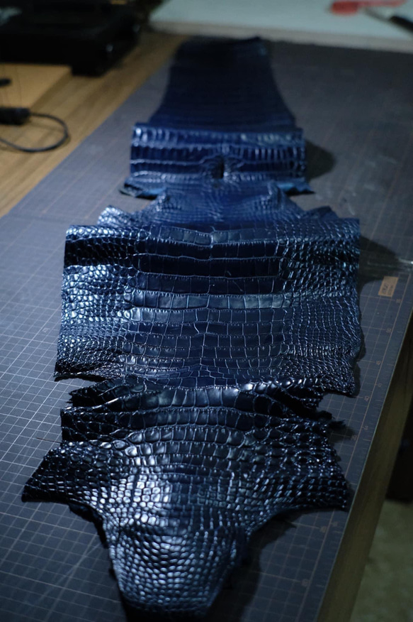 [オーダー作製］本藍染アリゲーターウエ　高級ワニ革使用ウエストベルト　手縫い　　タロコダイル　エキゾチックレザー　ベルト 10枚目の画像