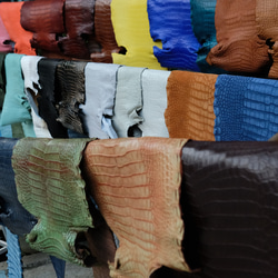 [オーダー作製］本藍染アリゲーターウエ　高級ワニ革使用ウエストベルト　手縫い　　タロコダイル　エキゾチックレザー　ベルト 12枚目の画像