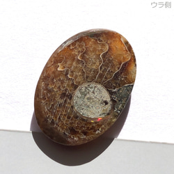 アンモナイト[109] 23x17mm 12Cts　天然石 ／ ルース ／カボション 2枚目の画像