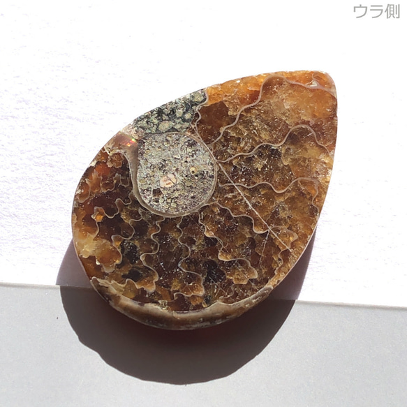 アンモナイト[110] 26x18mm 13Cts　天然石 ／ ルース ／カボション 2枚目の画像