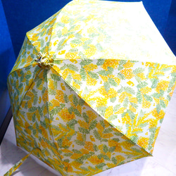 手作り日傘　そよ風に 似ている「なんとなく好き」は　≪限定品≫ 4枚目の画像