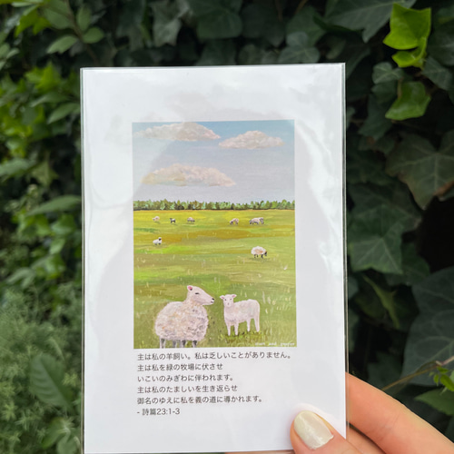 聖書箇所ポストカード, - 主は私の羊飼い, 詩篇23:1-3, キリスト
