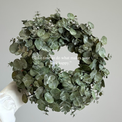 ユーカリグリーンリース銀世界35cm