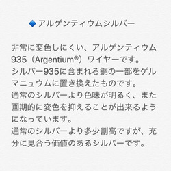 〈送料無料〉＊レインボームーンストーン＊SV925アメリカンチェーン風イヤリング 5枚目の画像