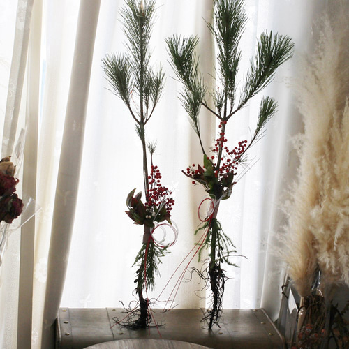 フレッシュ根引松のお飾り しめ縄・しめ飾り petit chocolat 通販