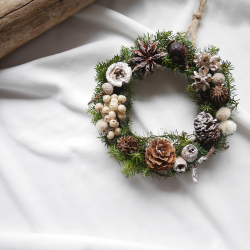 木の実のミニリース/冬のリース/木の実のリース/クリスマスリース