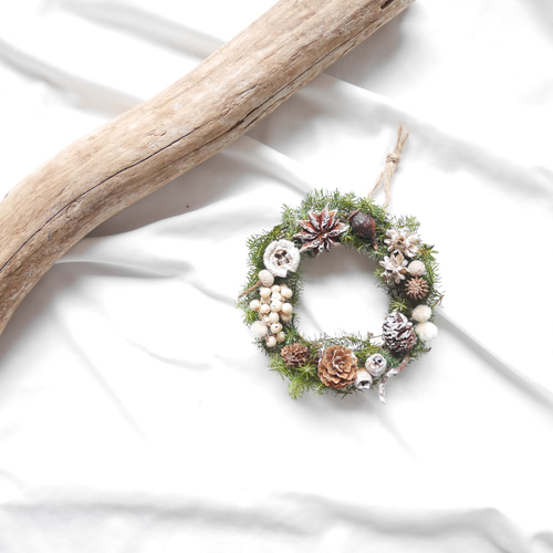 木の実のミニリース/冬のリース/木の実のリース/クリスマスリース