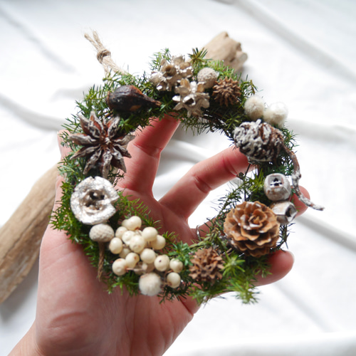 木の実のミニリース/冬のリース/木の実のリース/クリスマスリース