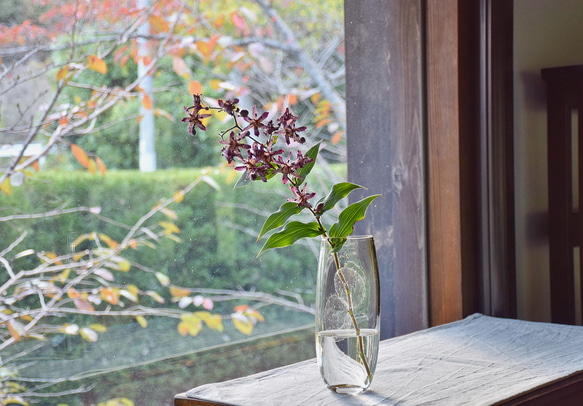 泡玉花瓶 5枚目の画像