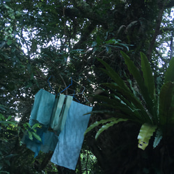 屋久島の草木染めシルクストール縞格子（アマクサギのブルーグリーン） 17枚目の画像