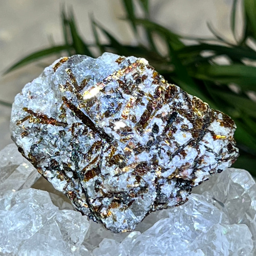 アストロ〜☆ Astrophyllite アストロフィライト 星葉石 原石