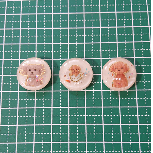トイプードルのボタン小☆5個 q9 犬/プードル/ボタン/カボション/動物 
