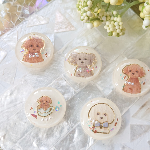 トイプードルのボタン小☆5個 q9 犬/プードル/ボタン/カボション/動物 