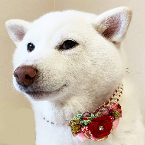格安saleスタ NanaRin*House ペット服・アクセサリー 完成品お正月おめかしチョーカー１５【超小型犬用～大型犬用】（イベント価格）  17009171 通販｜Creema(クリーマ) 犬服・アクセサリー