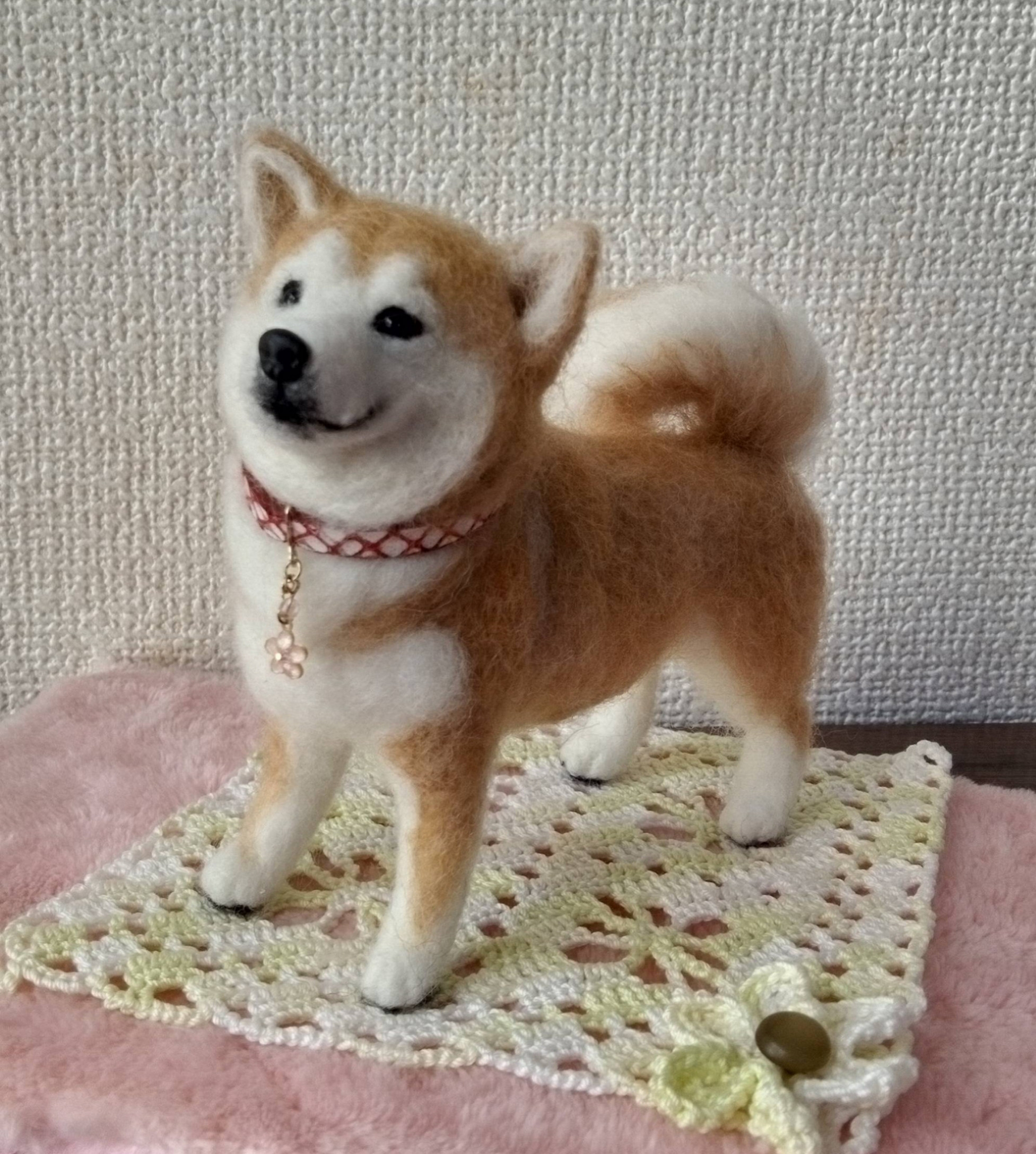 羊毛フェルト 柴犬さん 羊毛フェルト はなちよ 通販 17009400