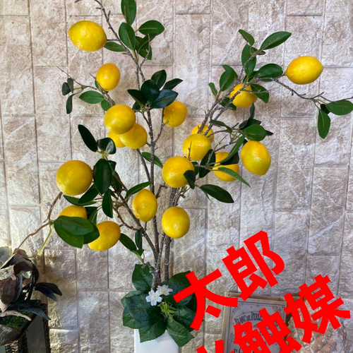 光触媒人工観葉植物ウォールグリーンフェイクグリーンレモンツリー1.35