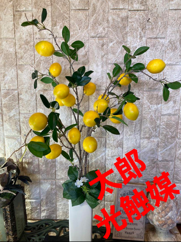 光触媒　人工観葉植物　ウォールグリーン　フェイクグリーン　レモンの木1.35 光触媒 人工観葉植物 ウォールグリーン フェイクグリーン レモン