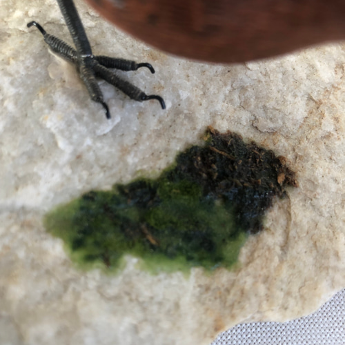 ミソサザイ（バードカービング） その他置物 たっつん 通販 17009787