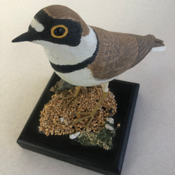 カワセミのカービング sddefault.jpg