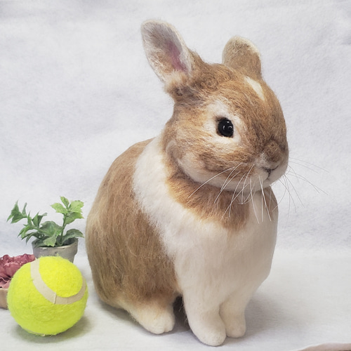 オーダーメイド】【LLサイズ】羊毛フェルト うさぎ ペット うち