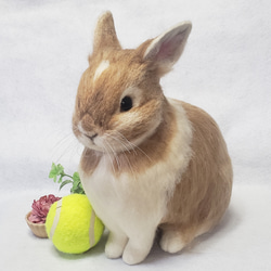 e04ff6c550b790c0bfa824599cba60