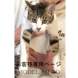 【お客様専用ページ_みーこちゃん】羊毛フェルト、猫ぬいぐるみ、フェルト猫、ペットメモリアル、オーダーメイド 1枚目の画像