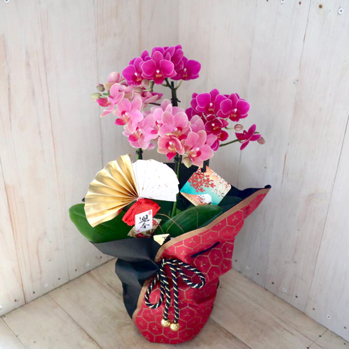 専用＊迎春2024 胡蝶蘭ピンク   正月飾り(フェイク) 専用＊迎春2024 胡蝶蘭ピンク 正月飾り(フェイク)