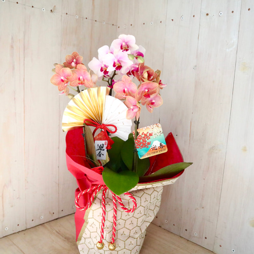 専用＊迎春2024 胡蝶蘭ピンク   正月飾り(フェイク) 専用＊迎春2024 胡蝶蘭ピンク 正月飾り(フェイク)