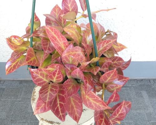 6491bcc6522e01fbc57f9688505667