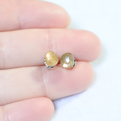 (1 件) 金色閃耀月光石玫瑰切割耳環（鈦柱） 第4張的照片