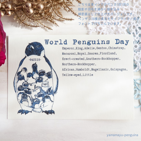 ポストカード･042518-World Penguins Day-【4枚セット】 5枚目の画像