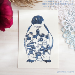ポストカード･042518-World Penguins Day-【8枚セット】 4枚目の画像