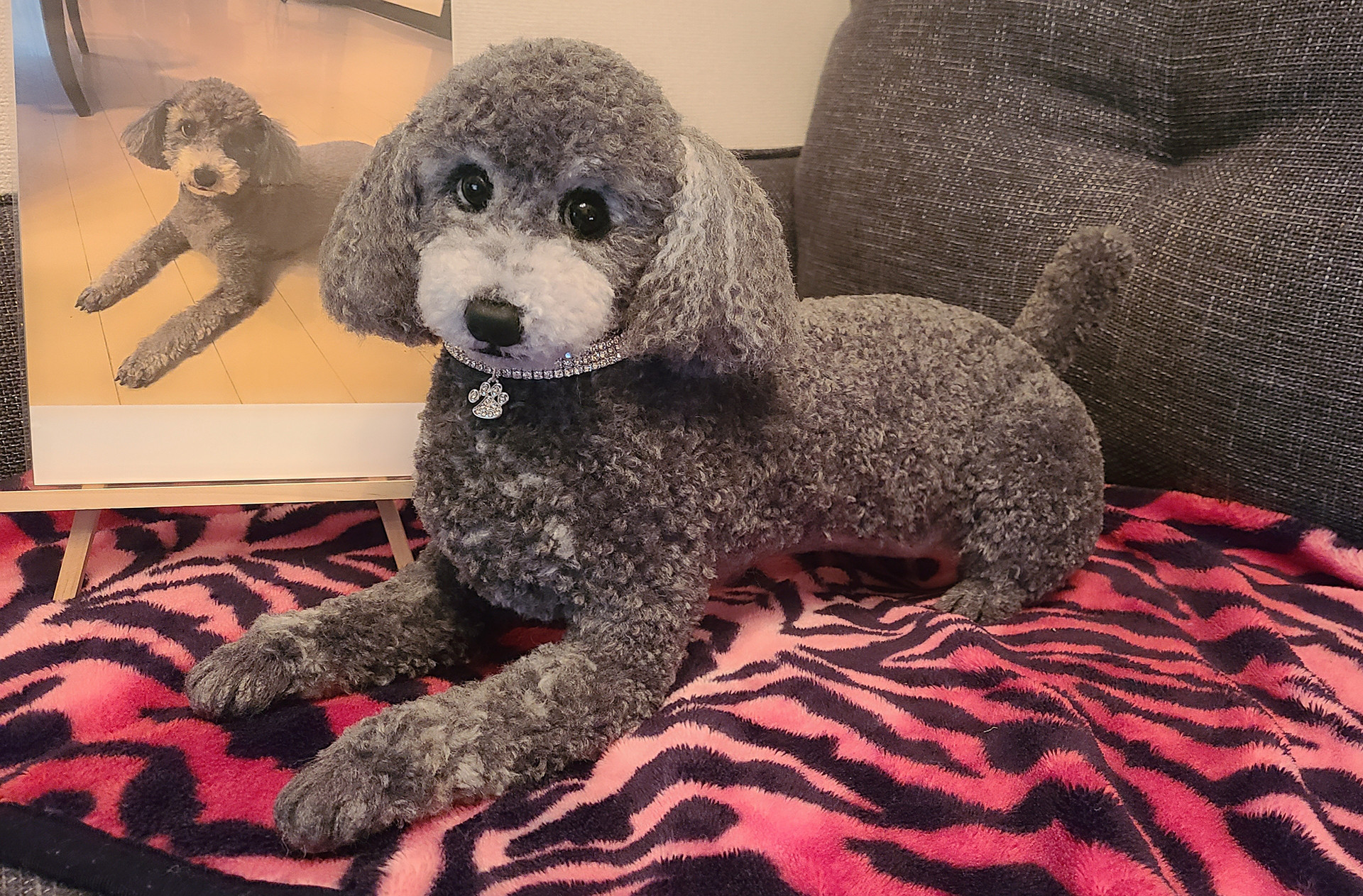 ♡リアル実物大ワンちゃん♡