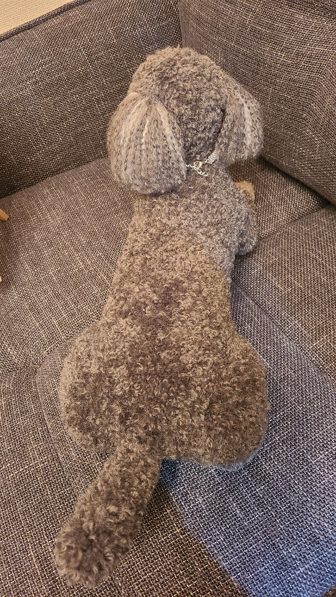 ♡リアル実物大ワンちゃん♡