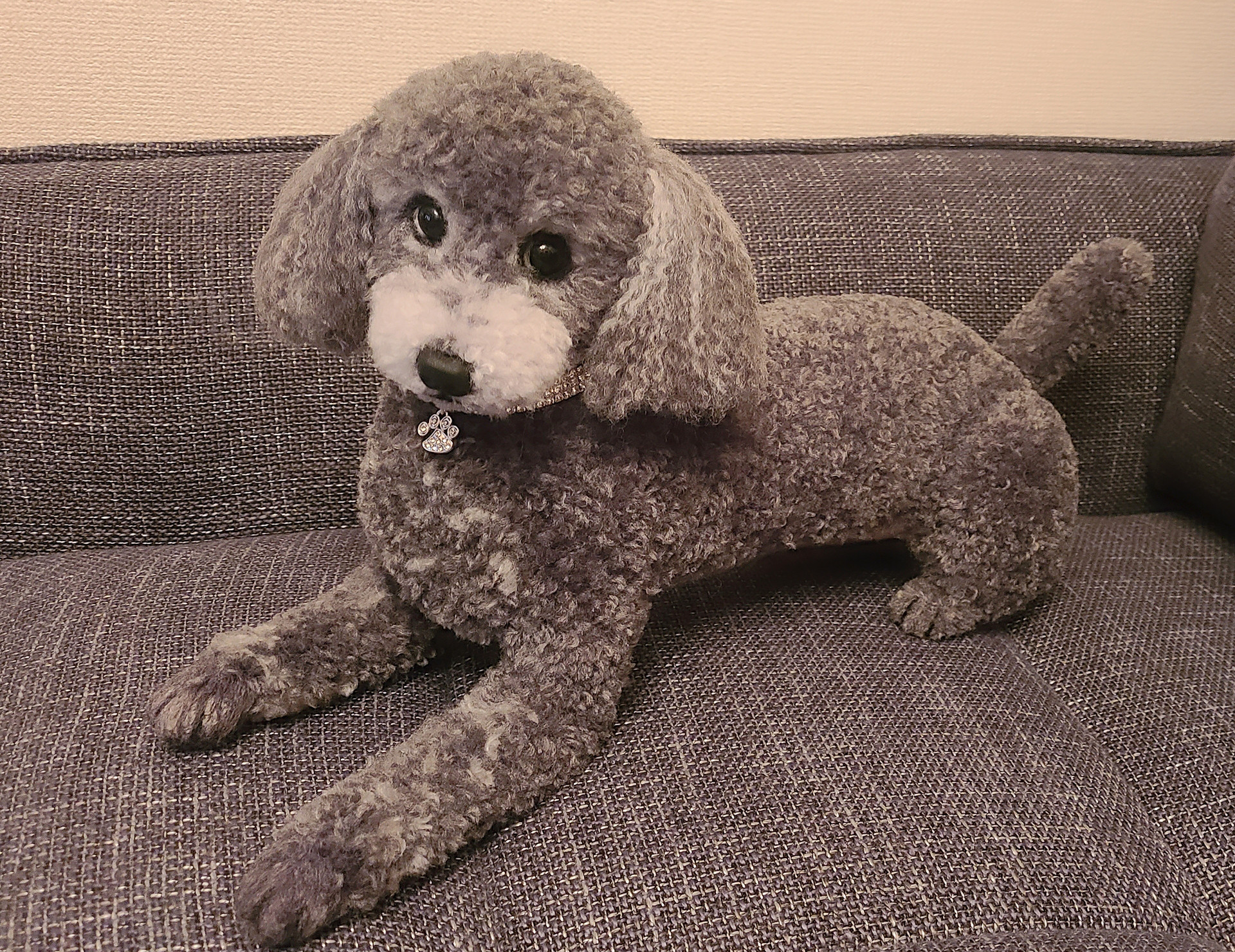 ♡リアル実物大ワンちゃん♡