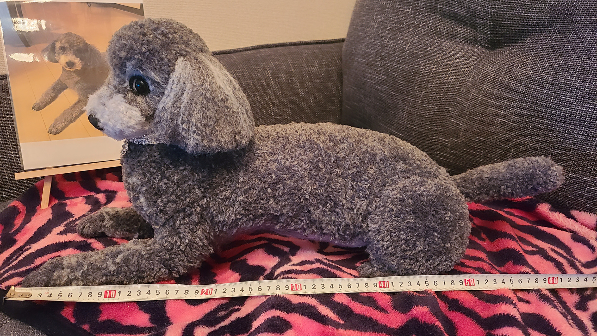 ♡リアル実物大ワンちゃん♡