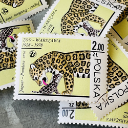 10枚捷豹（貓科動物）親子郵票波蘭（外國郵票/舊郵票）| 古董/復古 第1張的照片