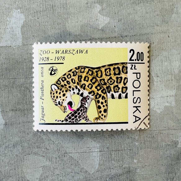 10枚捷豹（貓科動物）親子郵票波蘭（外國郵票/舊郵票）| 古董/復古 第3張的照片
