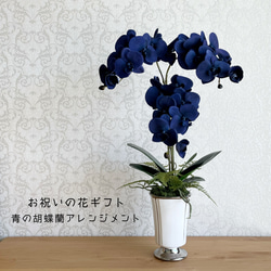 「送料無料」お祝いに　枯れない胡蝶蘭　高級感溢れるベルベット素材の青い胡蝶蘭フラワーアレンジメント 1枚目の画像