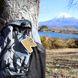 鐘鳴る岩木山　麗らかな桃色の山タグ 9枚目の画像