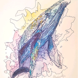 【飛び立つクジラ】ペン画/水彩画/水彩/アート/動物/絵/鯨/クジラ 1枚目の画像