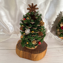 省スペースで飾れる大王松のクリスマスツリー 木の実＆ゴールドライン